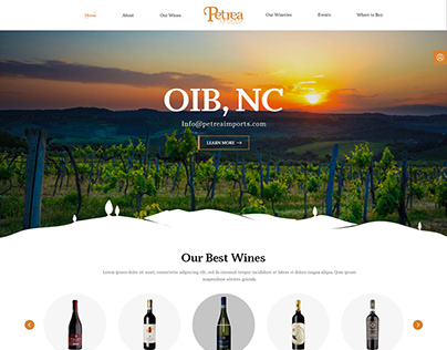 Petrea Homepage Design