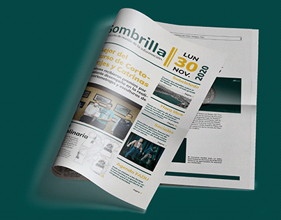 Project thumbnail - La Sombrilla / periódico institucional