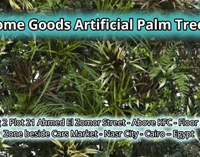 Home goods artificial palm trees