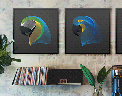 Macaw Illustrations
