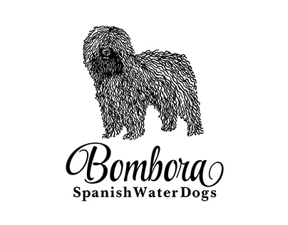 Bombora Spanish Water Dogs Logo Illustration