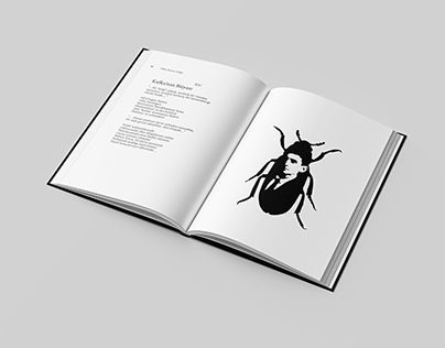 Book Design: 'Ölüm Beyaz Gölge'