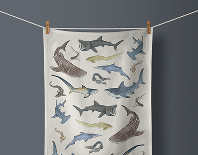 Shark Illustrated Product Design