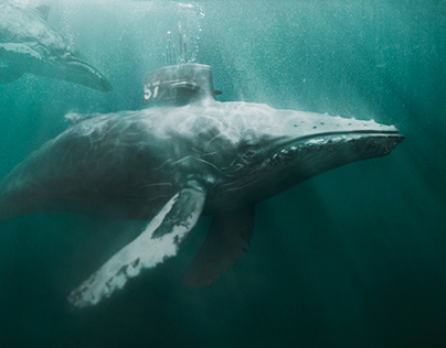 Submarine Whale