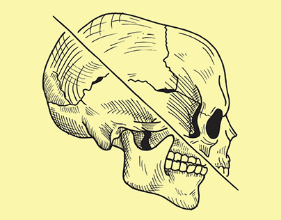 Skeleton Illustration Collection