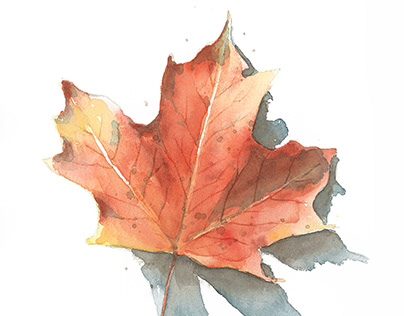 watercolor fall leaf painting