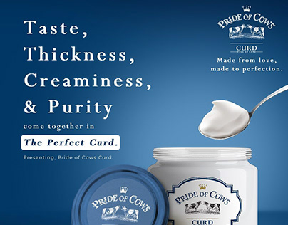 The Perfect Curd