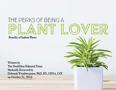 Art 235 | Pet Project- The Perks of Being a Plant Lover