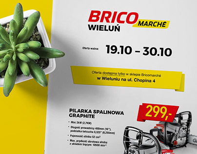 Bricomarche - Brochures & Posters