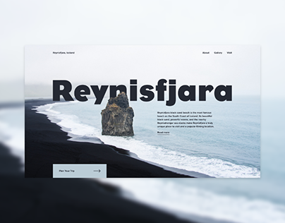 Reynisfjara Website Concept