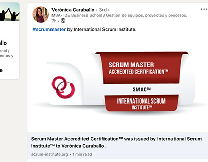 Scrum Institute Certified Scrum Masters​​​​​​​