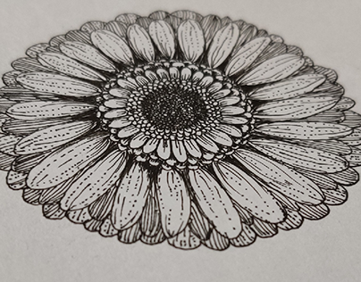 Simple Flower Doodle