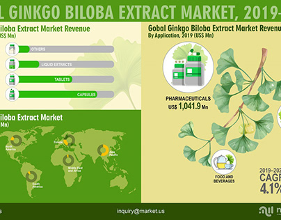 Global Ginkgo Biloba Extract Market