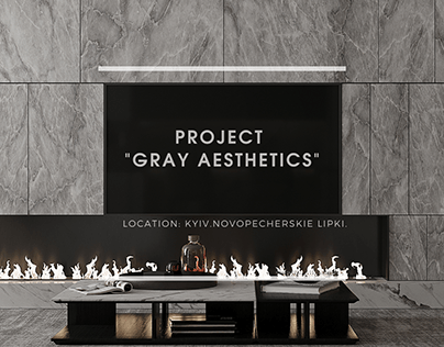 Project thumbnail - PROJECT "GRAY AESTHETICS"