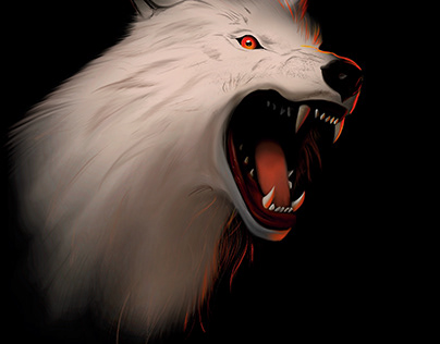 Wolf İllustration