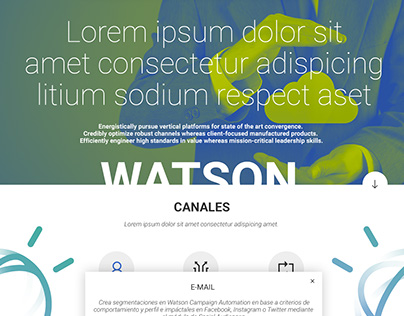Watson Campaign Automation