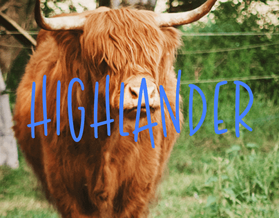 Project thumbnail - Highlander