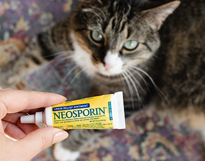 Is Neosporin Safe for Cats? Neospo