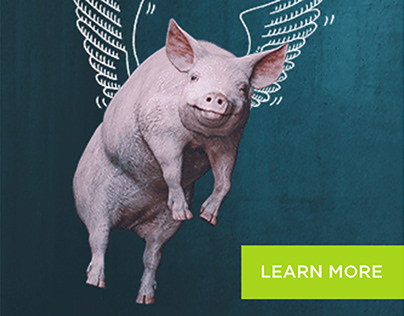DPL Financial Partners - Flying Pig Banners