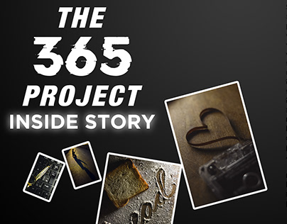 The 365 Article