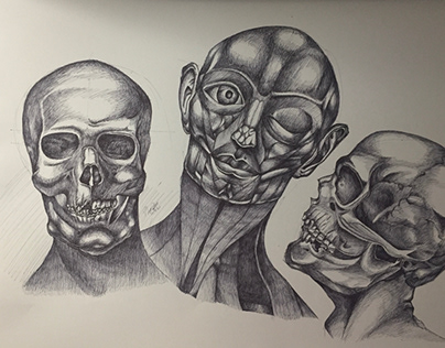 3 Skull A2 Size