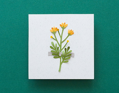 Spring Flowers | paper art