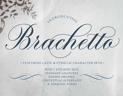 Brachetto Script Font