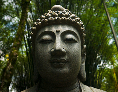 Photography/Buddha