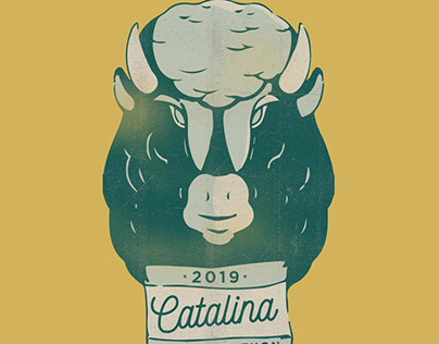 2019 Catalina Marathons