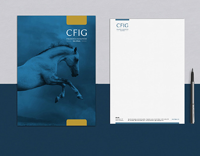 CFIG SE - Financial Services