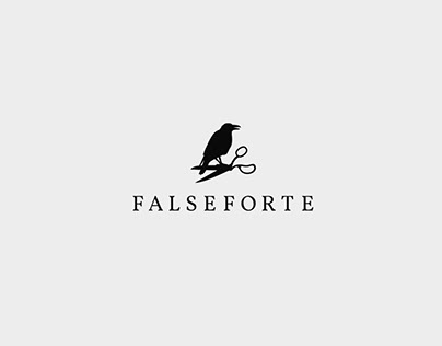 FALSEFORTE // Branding Strategy & Design Process