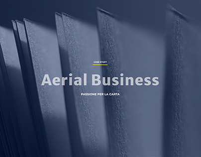 Case Study AERIAL BUSINESS