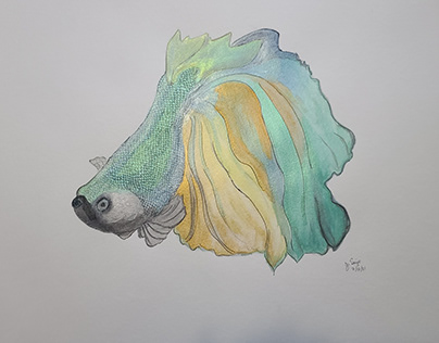 Metallic Watercolor -Fighting fish