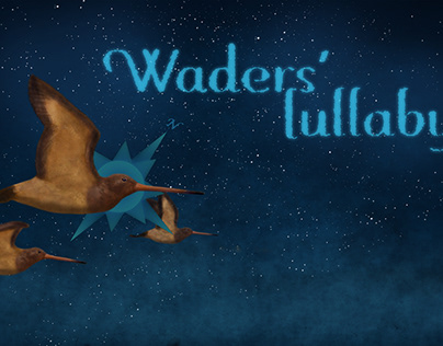 Waders' lullaby