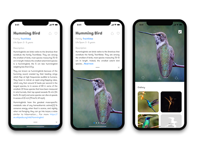 Birds App