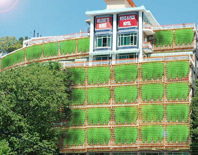 Green Wall for Move n Pick Hotel, Murree, Pakistan