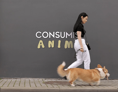 El consumismo en la industria Pet Care - Documental