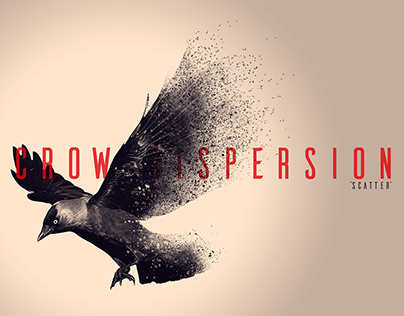 Scatter Dispersion | "Raven"