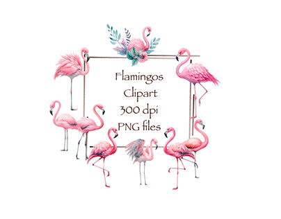 Pink Flamingo Clipart
