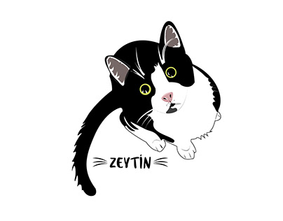 Zeytin the Epileptic Cat Illustration