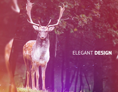 Inspire Slideshow : After effects template
