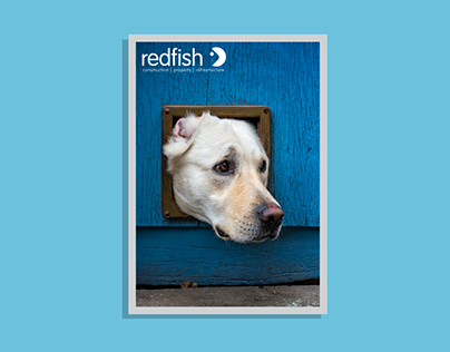 Redfish Dog Poster Design For Client