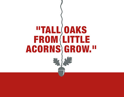 Tall oaks from little acorns grow