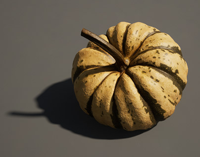 little pumpkin (photogrammetry) • 2023/24