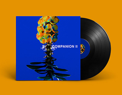 Album Cover Re-Design of Flume's Skin Companion II