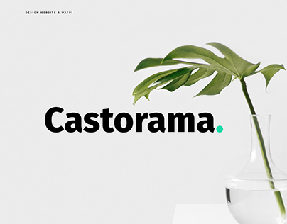 Castorama - Website Concept