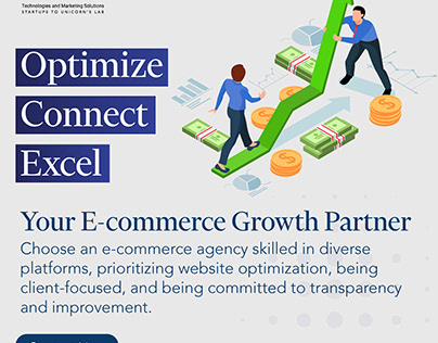 E-Commerce Evolution: Optimizing, Connecting, Excelling