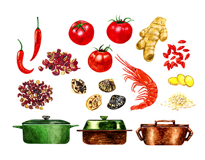 Food Illustration