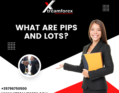 What Are Pips And Lots?