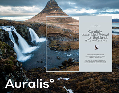 Auralis Eco Brand E-commerce | Promotion Website Design